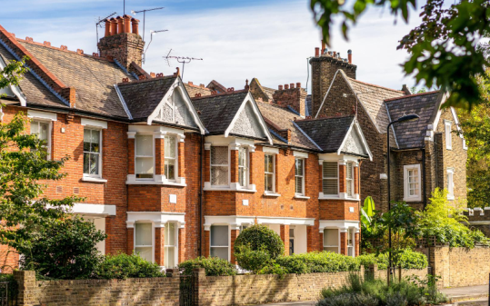 domestic pest control